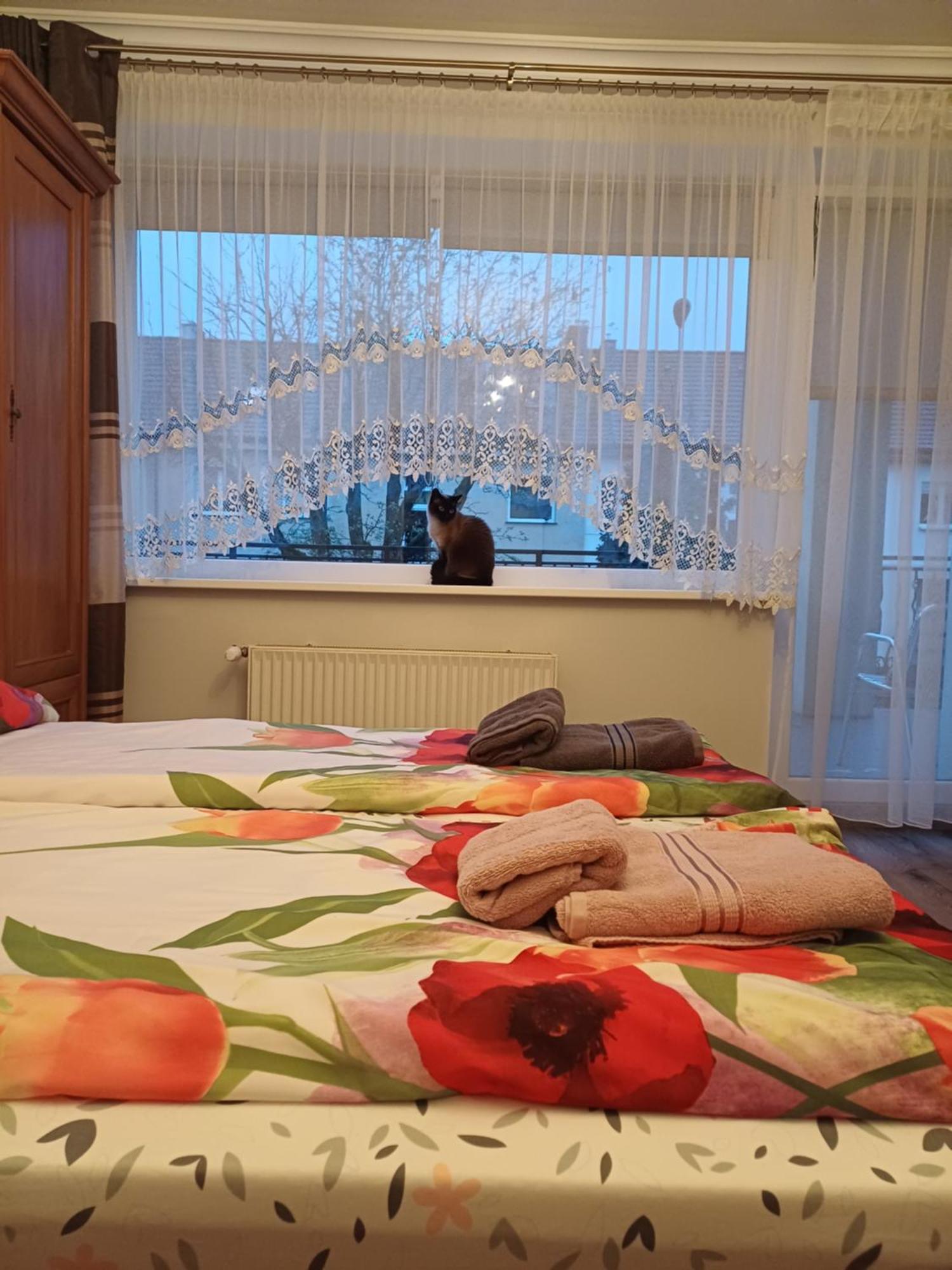 Morski Brzeg 斯维诺乌伊希切 外观 照片